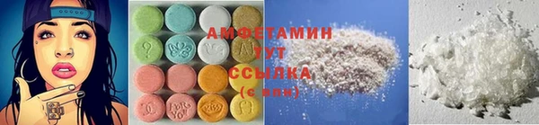 тгк Абаза