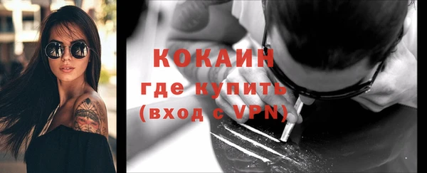 тгк Абаза