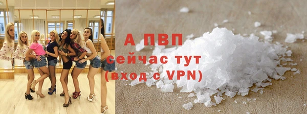 тгк Абаза