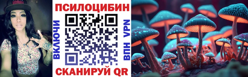 omg зеркало  купить наркотики цена  Нальчик  Псилоцибиновые грибы MAGIC MUSHROOMS 